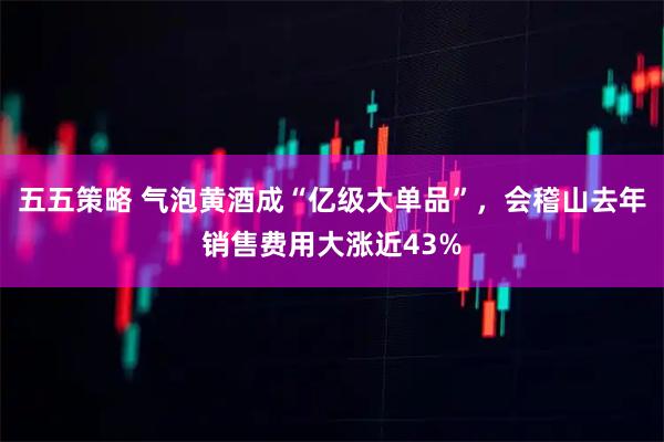 五五策略 气泡黄酒成“亿级大单品”,会稽山去年销售费用大涨近43%
