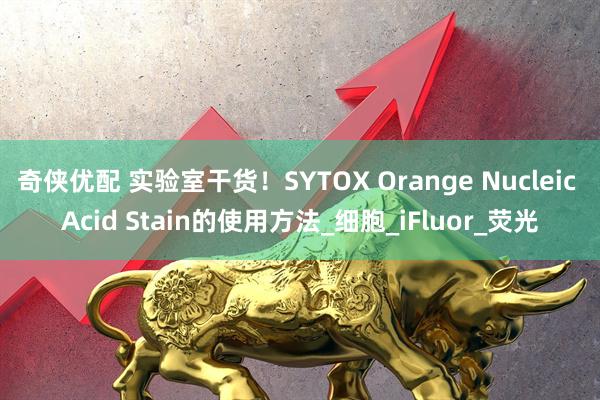 奇侠优配 实验室干货！SYTOX Orange Nucleic Acid Stain的使用方法_细胞_iFluor_荧光
